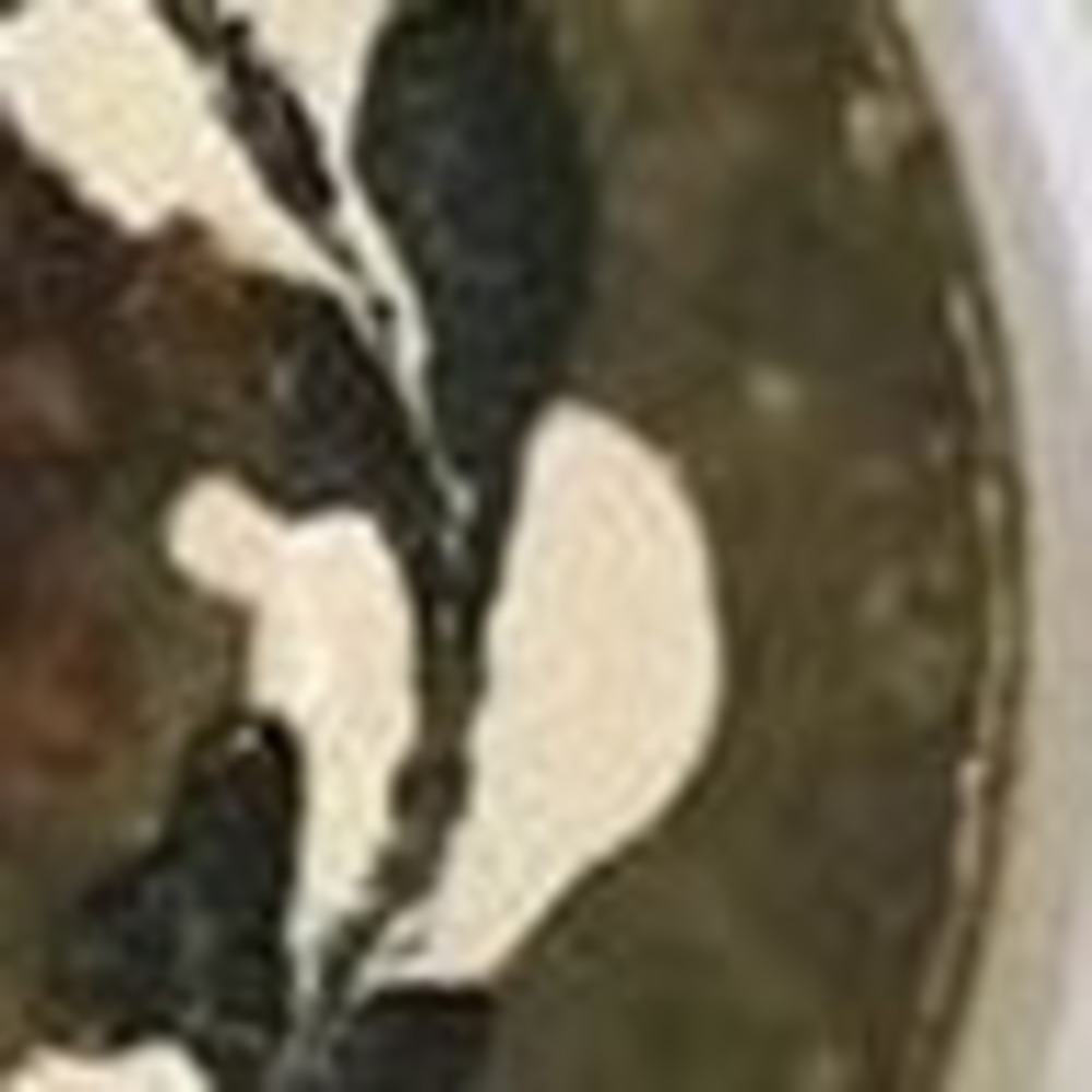 Meet your Posher, Ali